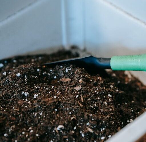 Beginner Tips for Composting at Home: A Simple Guide to Get Started